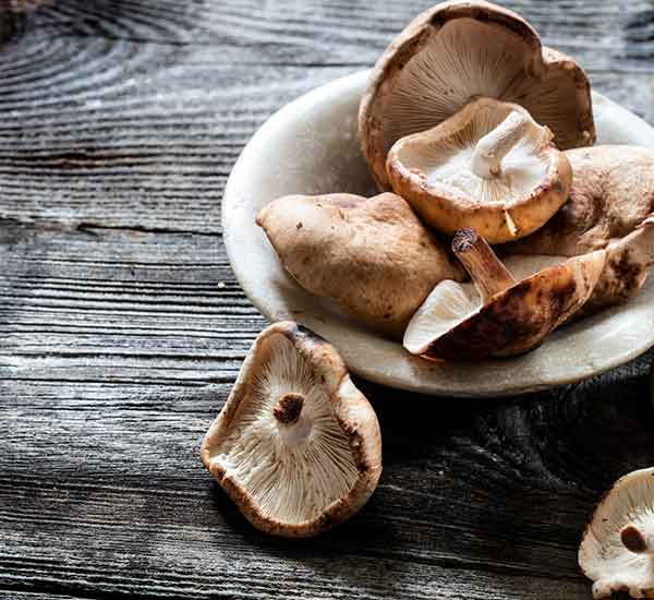 Dried shitake in a white bowl on timber bacground
